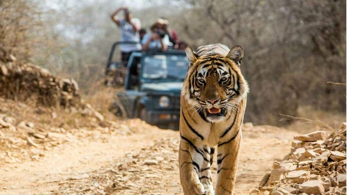 Visit Jim Corbett